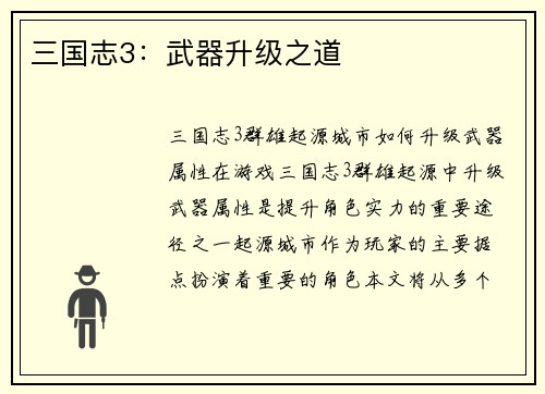 三国志3：武器升级之道